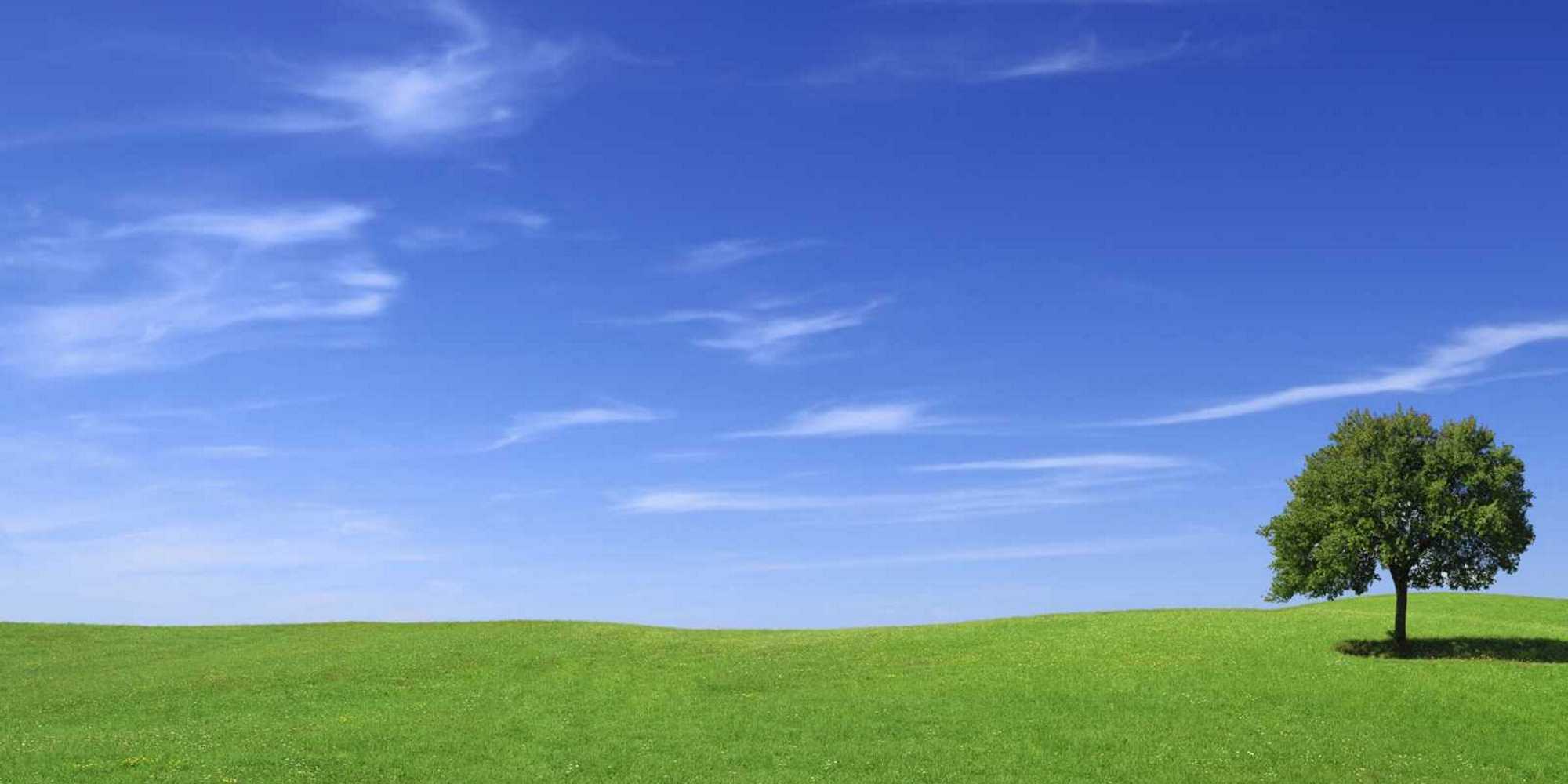 Kampfsport Kung Fu und Wing Chun, Kampfkunst in Werl